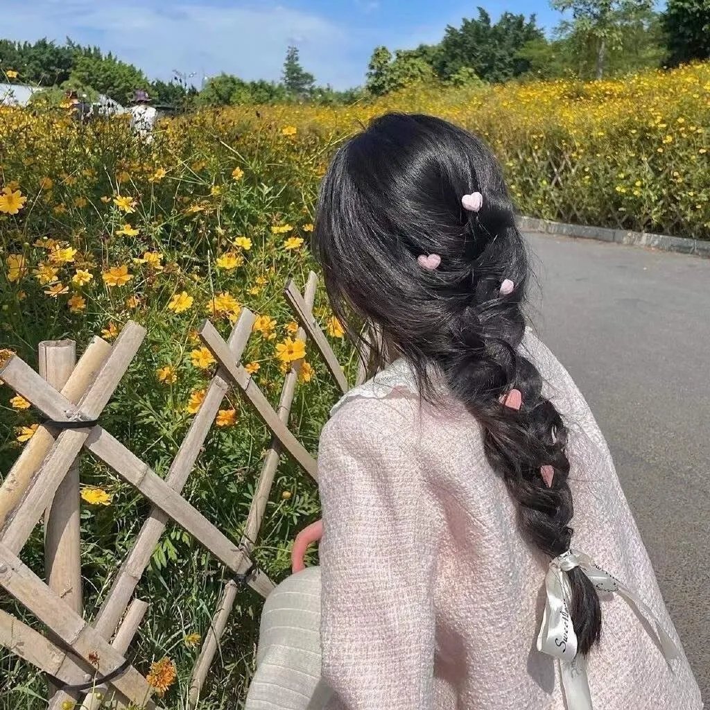 雁南飞